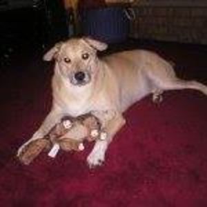 Meet your Posher, Katherine